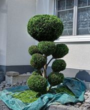 20240607_113605 1.jpg