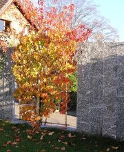 Neuschwander AG Bild 7