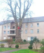 Entreprise Lecoq image 19