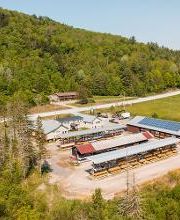 Goodro Lumber- Mountain Lumber & Hardware image 13