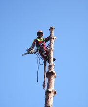 Markus Näf Baumpflege & Transporte