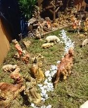 Jadran Grill Bild 18