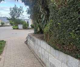 Gartenpflege