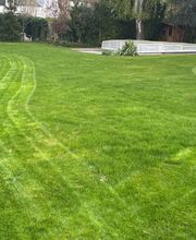 Gartenservice Mark Miess Bild 17