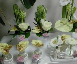 Fleur D'O image 11