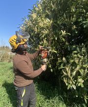 Jardi-Taille image 3