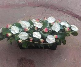 Les Fleurs De Calicie image 8