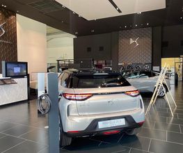 DS Store image 17