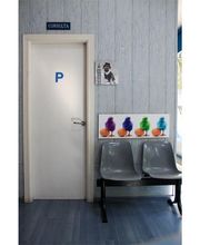 Veterinario Alcorcón imagen 5