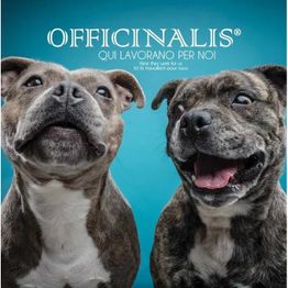 Franco  Monti PetFood Import