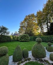 A.Lavanchy Sàrl Bild 1