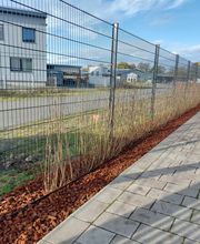 Heckenpflanzungen im Herbst