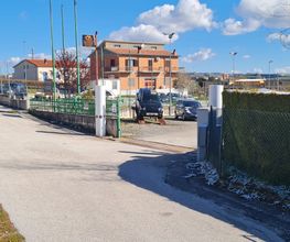 Candeloro Antonello immagine 5