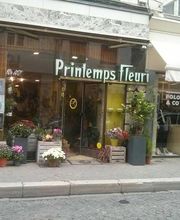 Printemps Fleuri image 3