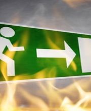 D. Tanner Consulting GmbH Bild 3