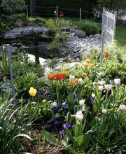 Maridor Paysagistes Bild 3