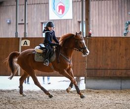 Reitsportzentrum St. Josefen AG Bild 7