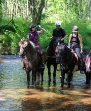 Domaine de la Rebière image 7