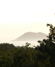 BREA FERNÁNDEZ, A. imagen 4