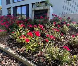 AZ Garten+Haus Service GmbH Bild 8