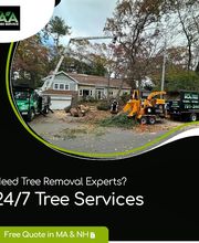 AA Tree Service image 8