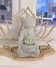 L' Escale Tannaysienne image 14