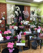 Jantzen Fleurs image 15
