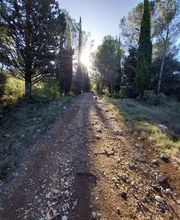 L'harmonie by Elodie image 1