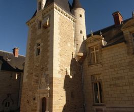 Pineau image 7