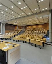 Copeaux & Salmon image 5