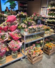 BLUME2000 München Pasing Bild 6