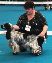 Anton Alice image 10