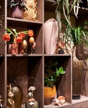 FLORA Weinfelden Bild 11