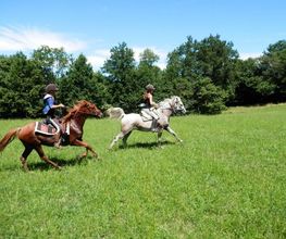 Equiloisirs image 14