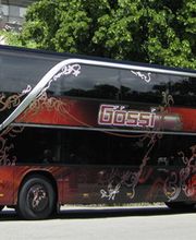 Gössi Carreisen AG Bild 8