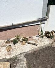 Grundstückspflege und Motorsägenkunst Colin Sand Bild 15