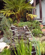 A-Z Garten- und Landschaftsbau Ingo Schmidt Bild 17