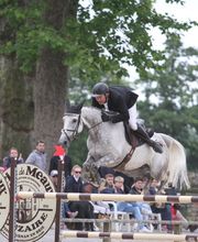 Centre Equestre De Sully image 2