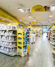 Arcaplanet immagine 2