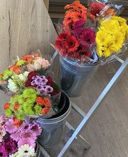Nahkauf Weihenzell Schnittblumen