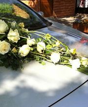 Blumen Hetzer Bild 10