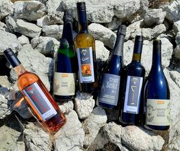 Ökoweingut Stutz Bild 3