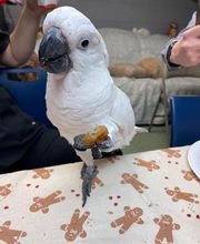 Paumanok Veterinary Hospital image 4