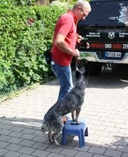 MenschUndHundZentrum Bild 40