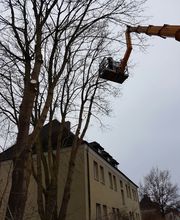 Gärtnermeister Christian Neumann Bild 3