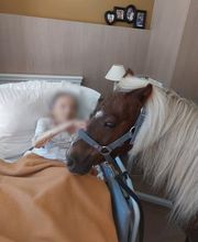 Eclair et Coquin image 8