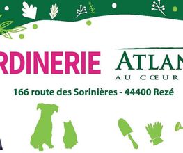 Atlantic Vert - Rezé image 4
