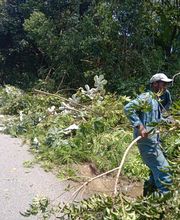 Services De Nettoyage image 14