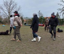 Hundeschule Komm Bild 4