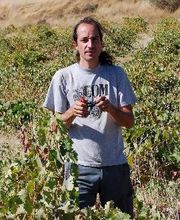 Vinos Ambiz imagen 5